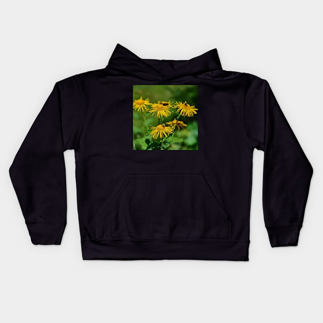 Alpine flowers Kids Hoodie by mbangert